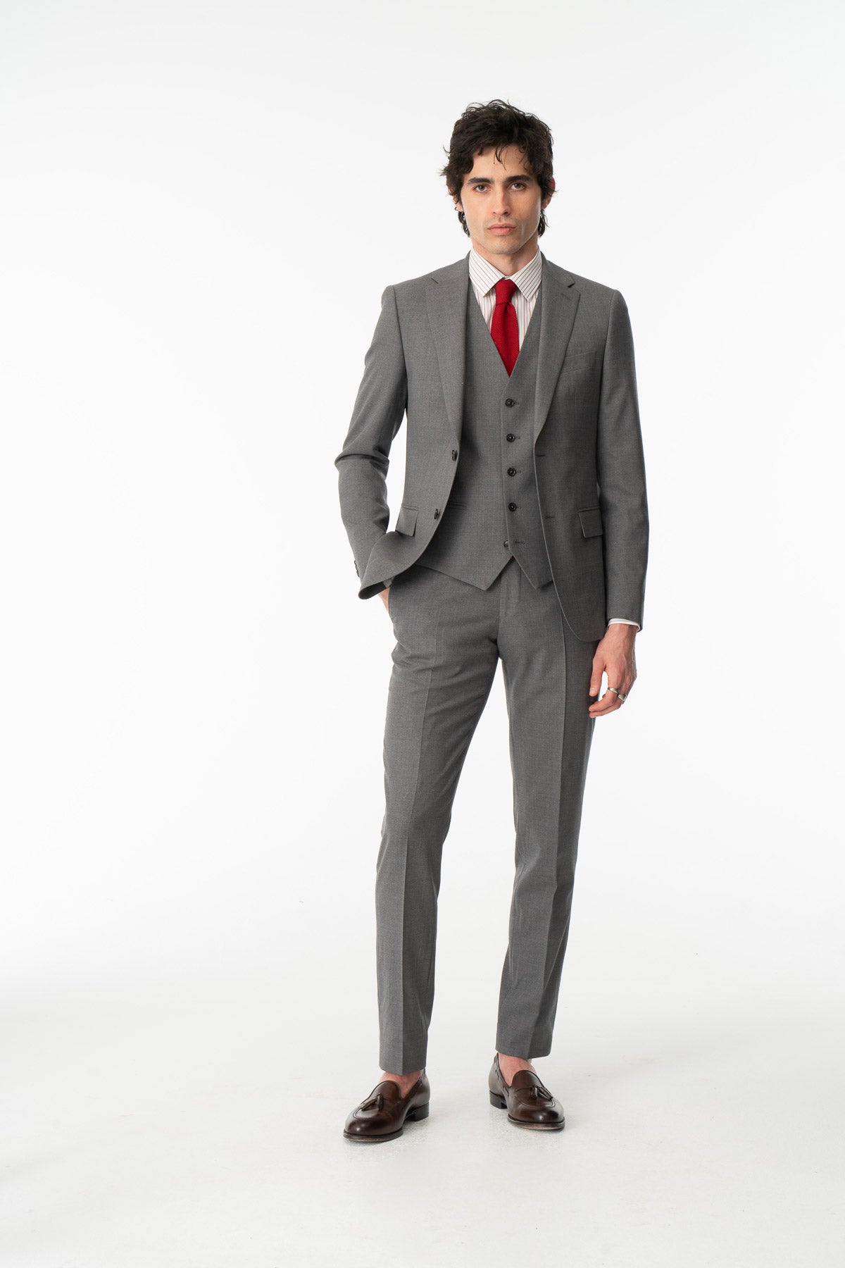 Costume Lupin Gris Clair 