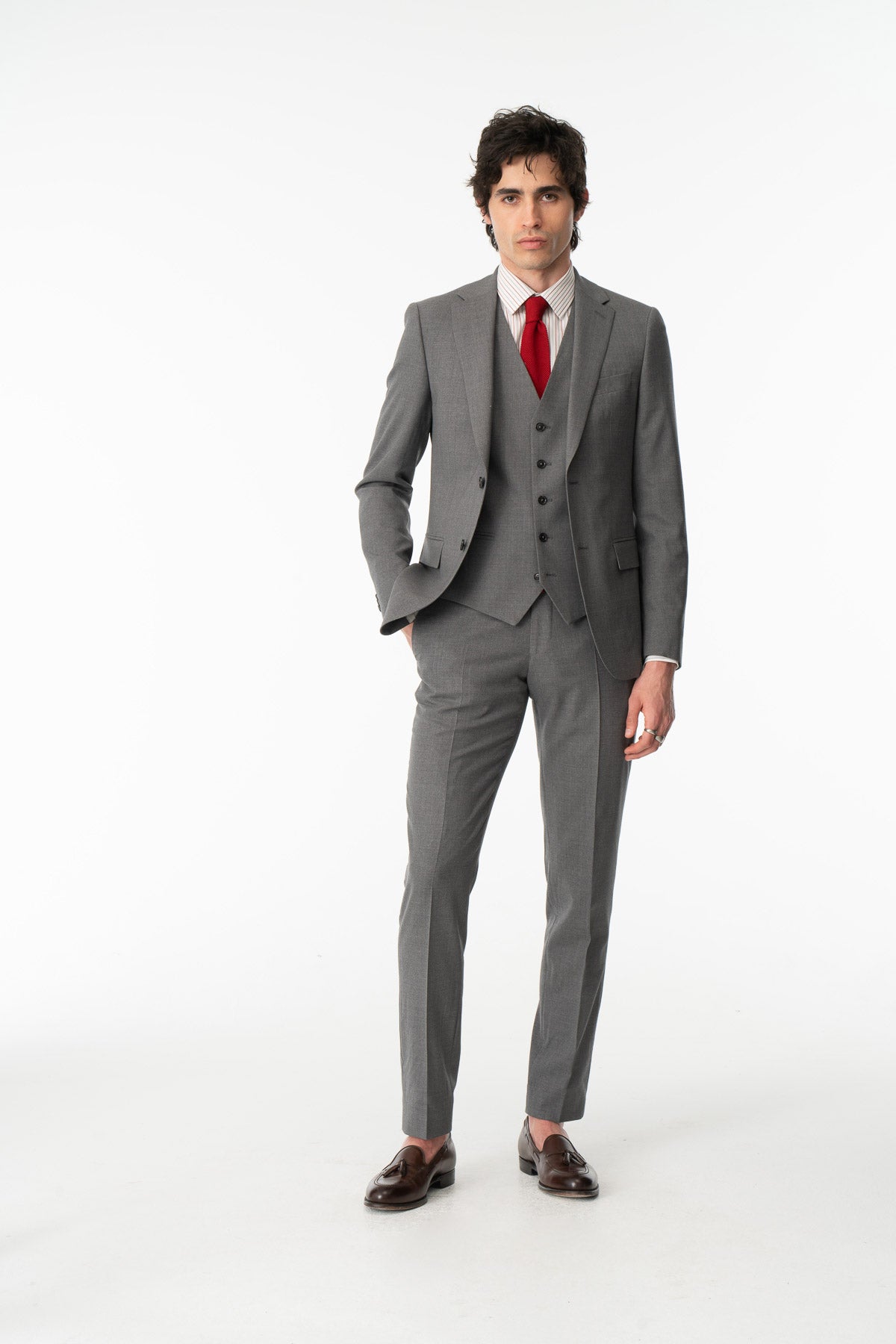 Costume Lupin Gris Clair