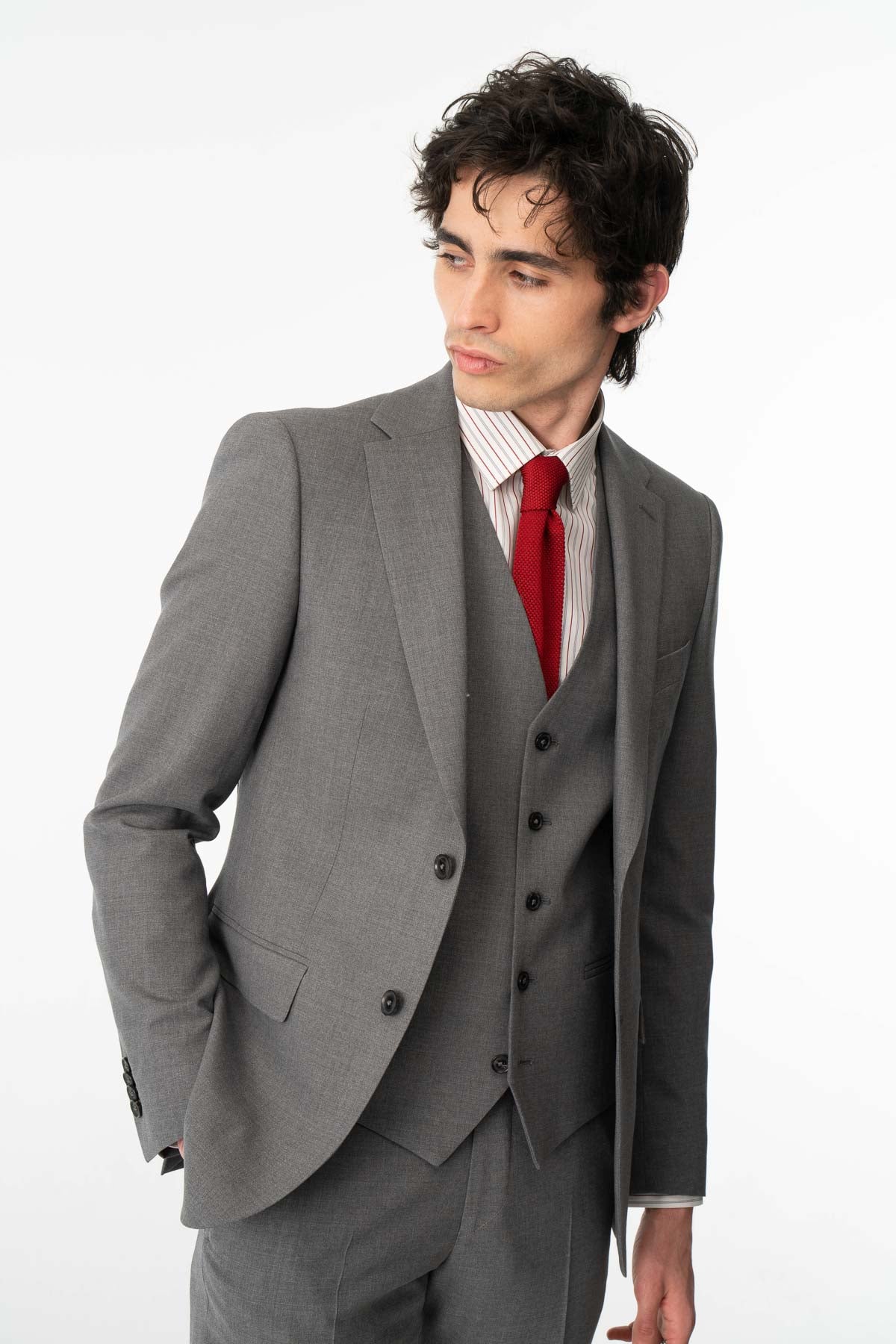 Costume Lupin Gris Clair